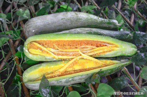 网红吃瓜在哪买,揭秘热门网红瓜源购买攻略  第2张